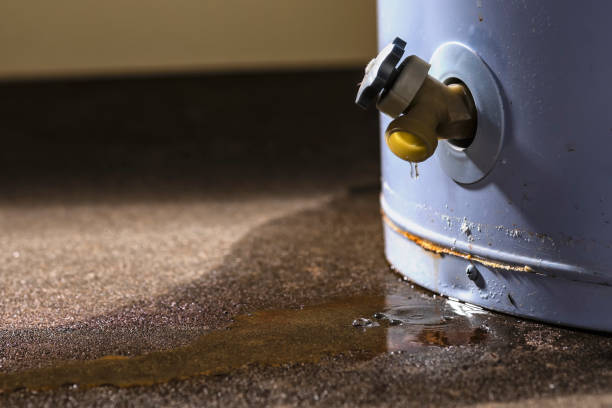 Best Ceiling water damage repair  in Spencer, WV