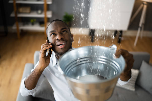 Best Water damage restoration services  in Spencer, WV