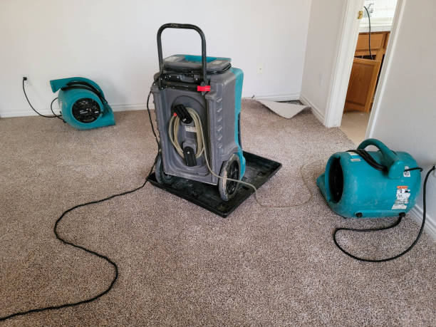Best Water damage restoration near me  in Spencer, WV