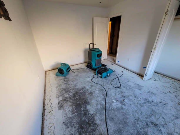 Best Flood damage cleanup  in Spencer, WV