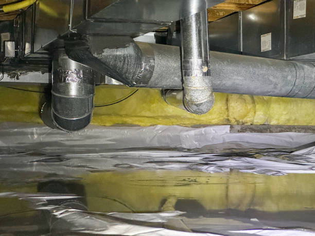Best Professional water damage repair  in Spencer, WV