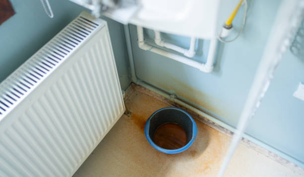 Best Ceiling water damage repair  in Spencer, WV