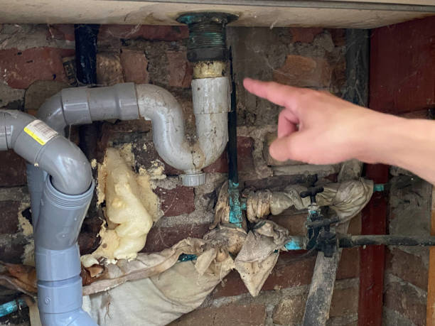 Best Sewage cleanup and water damage restoration  in Spencer, WV