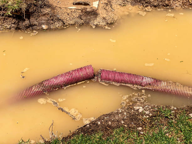 Best Basement water damage restoration  in Spencer, WV