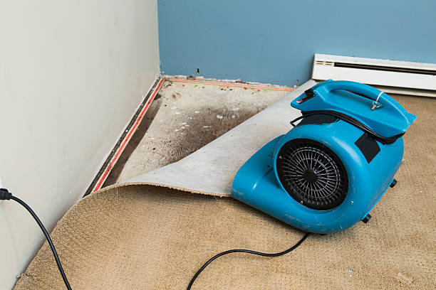 Best Ceiling water damage repair  in Spencer, WV