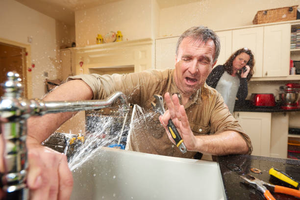 Best Flood restoration services  in Spencer, WV